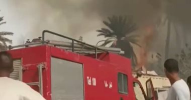 السيطرة على حريق فى زراعات النخيل بقرية النمسا جنوب الأقصر