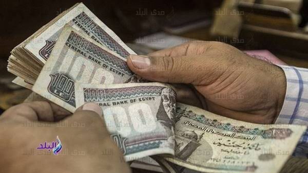96 مليار جنيه تمويلات لشراء سلع استهلاكية خلال 2025