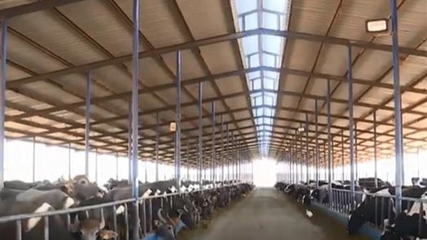 تمويل جديد بقيمة 297 مليون جنيه لـ425 مستفيدا من مشروع إحياء البتلو