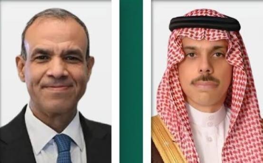 وزير الخارجية ونظيره المصري يبحثان التطورات في المنطقة