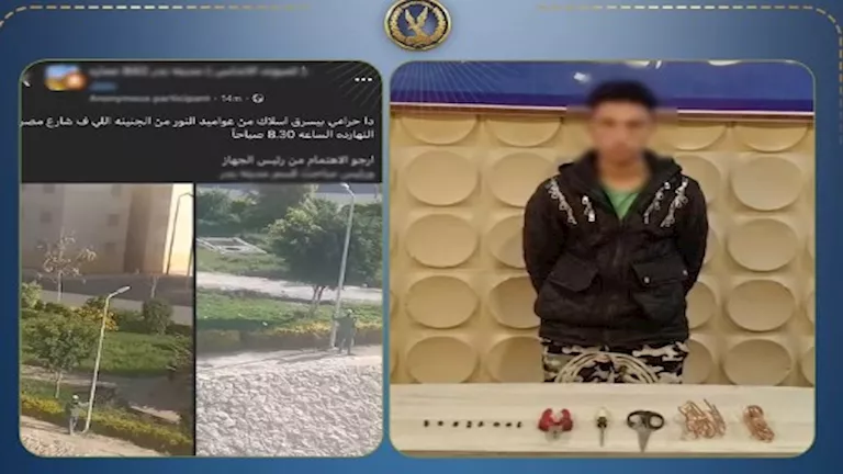 كاميرات المراقبة تفضح لص أعمدة الإنارة بالقاهرة وتصادر الصنف
