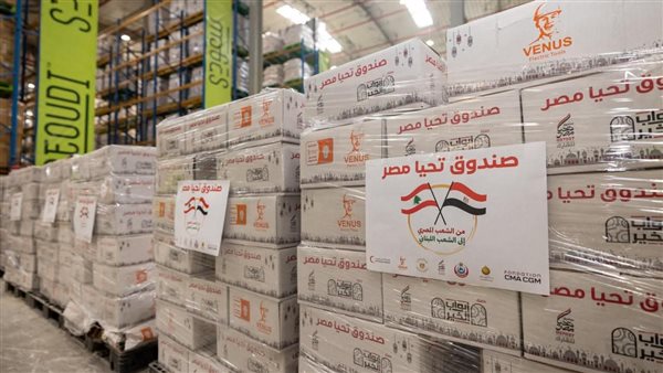 مصر تُرسل نحو 1000 طن من المساعدات الإغاثية العاجلة إلى لبنان (صور)