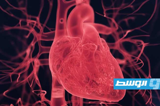 جملة واحدة قد تعرض النساء للخطر أثناء النوبات القلبية