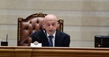 عقيلة صالح: مصر ثابتة فى دعم سيادة ليبيا ووحدة أراضيها