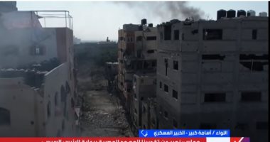 خبير عسكرى: الدبلوماسية المصرية حجر الزاوية لاستقرار المنطقة
