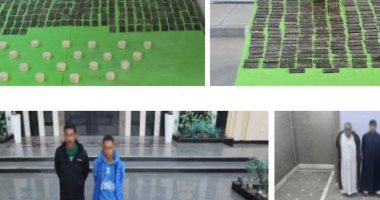 مقتل عنصرى خطر وضبط مخدرات بـ111 مليون جنيه فى ضربة أمنية