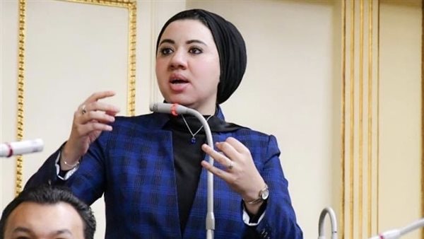 النائبة أميرة صابر: مصلحة الطفل يجب أن تتصدر تعديلات قانون الأحوال الشخصية