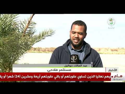 عين صالح - فلاحة | رمال الصحراء تتحول إلى أراض منتجة تنبض بالحياة