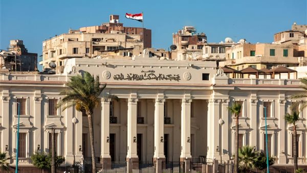 نيابة الدخيلة تقرر إخلاء سبيل كروان مشاكل في قضية نشر محتوى مخالف للآداب العامة