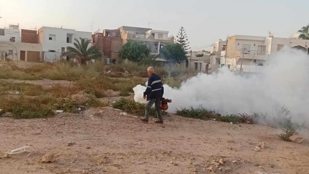 صفاقس : هل تكفي عمليّات التبخير لمحاربة الوشواشة؟