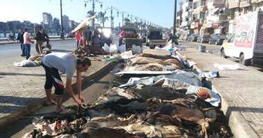 جلد أضحيتك ثروة.. اعرف كيفية استثماره وتجنب تلويث البيئة في العيد