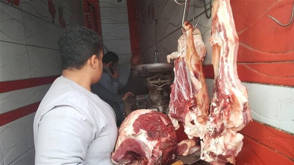 شرطة تموين الجيزة تستعد لمواجهة الخارجين عن القانون بخطة محكمة بعيد الأضحى