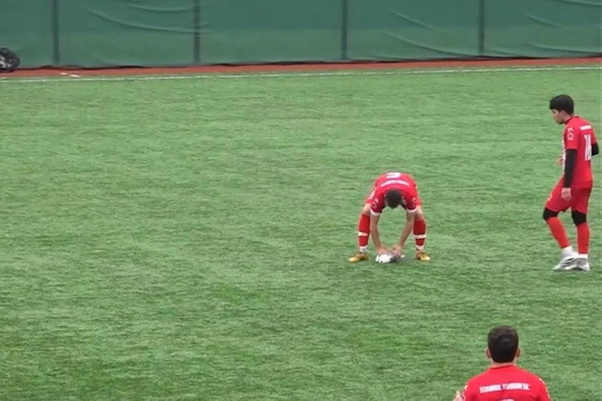 كرة تسقط نورسًا وقائد الفريق ينقذ الطائر من الموت (فيديو)
