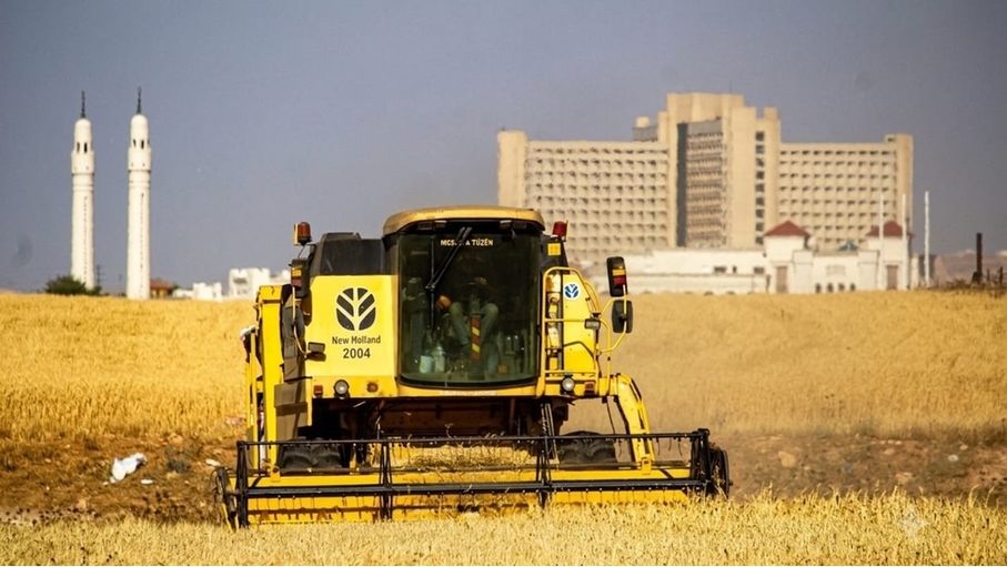 إربد.. مطالب بتغيير آليات تقدير إنتاج المحاصيل الحقلية وتسريع استلامها