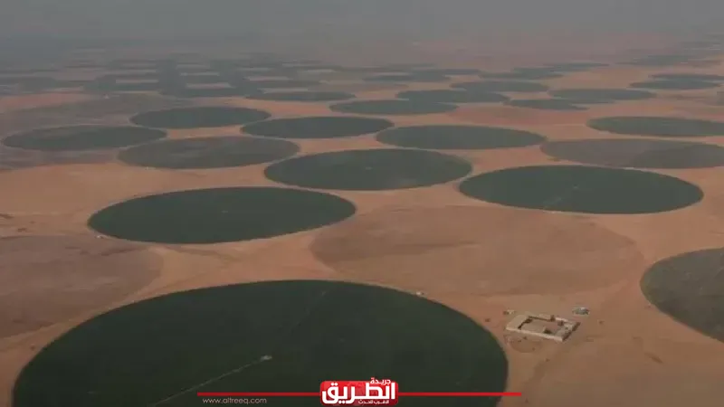 الدلتا الجديدة.. مدينة أحلام جديدة وسط الصحراء هتحل أزمة الزحمة