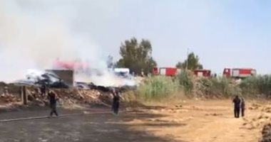 السيطرة على حريق ببوص بالقرب من محطة منوف بالمنوفية