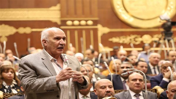 رسالة نارية من عضو الشيوخ لـ الحكومة: ظبطوا السوق الأول وبعدها غيروا الدعم|فيديو