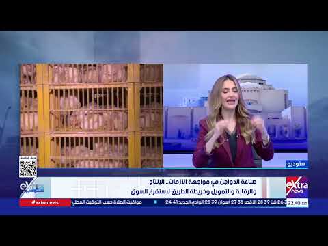 د. عبد العزيز السيد: لا يوجد مشكلات في إنتاج الدواجن ولكن الحلقات الوسيطة تصنع أزمات للمواطن