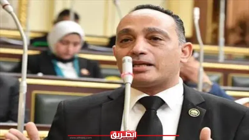 النائب فريدي البياضي: من حق المواطن معرفة كيف تُدار ثروات الغاز في مصر