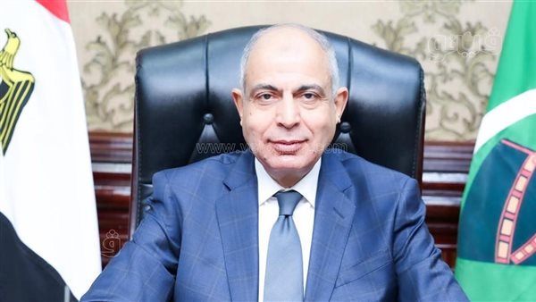 أسباب بقاء عماد كدواني محافظًا لـ المنيا