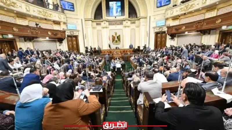 «افتكاسات برلمانية».. مليون جنيه من كل مواطن لسداد الديون و5 آلاف دولار للمصري بالخارج
