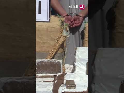شرطة النعامة تضبط قرابة 01 قنطار من الكيف المعالج مصدره المغرب