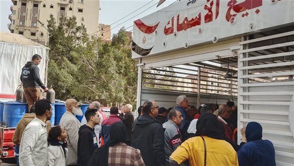 أسماك وبيض وخبز مدعم في المعرض الدائم للسلع الغذائية بالمنصورة