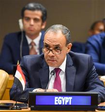 وزير الخارجية المصري: تغليب الحكمة ضروري لنزع فتيل التوتر بالمنطقة