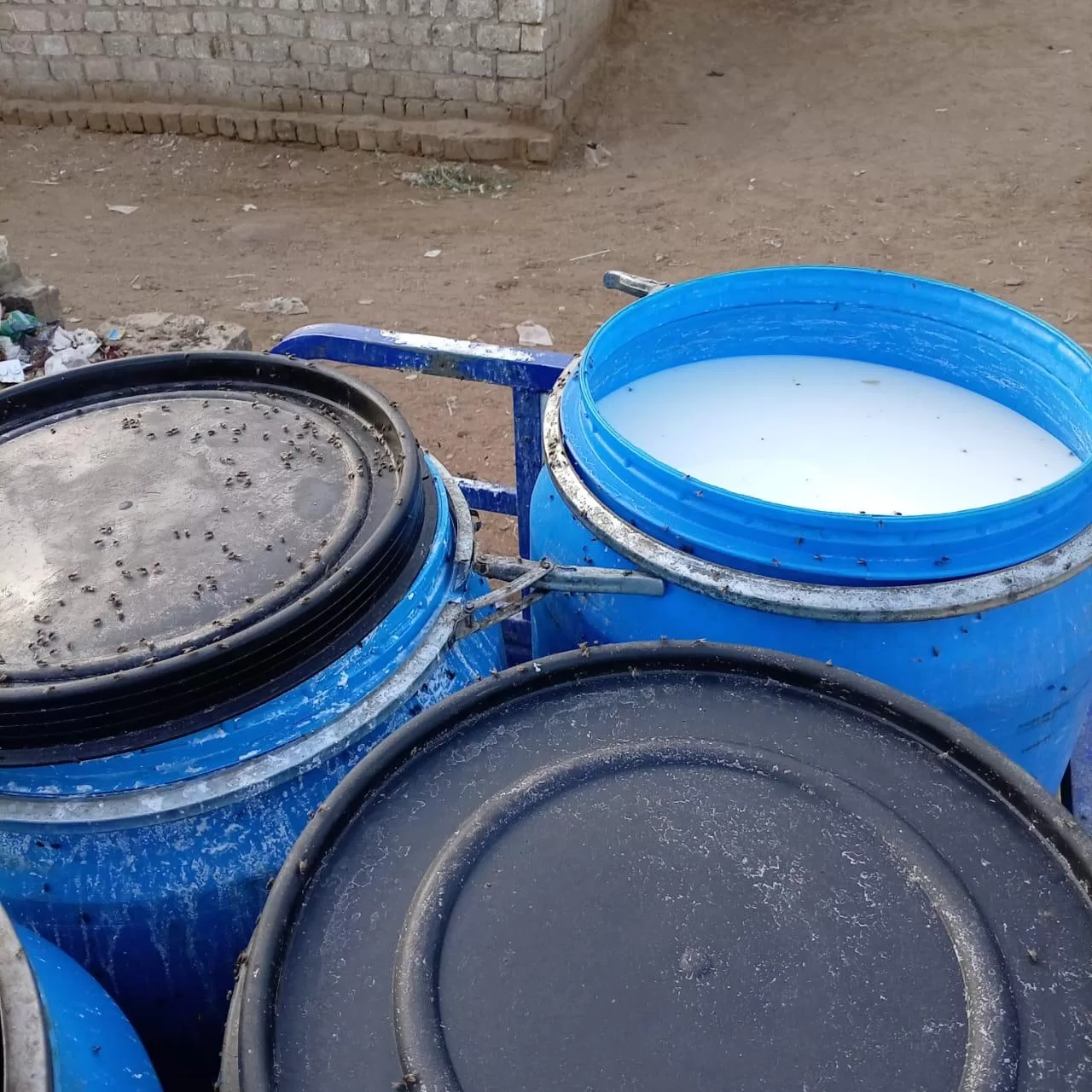 ضبط 2 طن ألبان مغشوشة بـ”الفورمالين” في المنيا