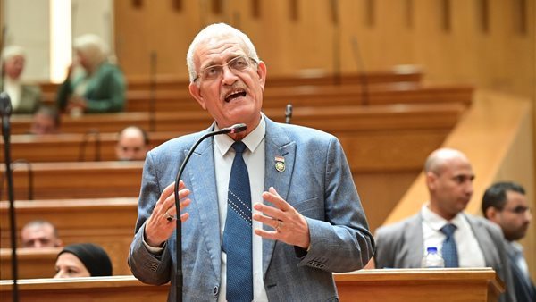 عاطف المغاوري: تصريحات السفير الأمريكي تعدي على القانون الدولي وسيادة الدول