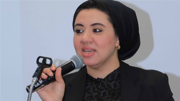 أميرة صابر تقترح إنشاء وحدات نيابية متخصصة للتحقيق في جرائم العنف الجنسي