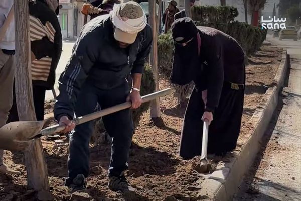 مجلس مدينة الرقة يبدأ أعمال التنظيف وتقليم الأشجار بالقرب من مشفى التوليد ودوار النعيم