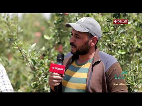 أهل بلدنا | مع مها موسى | 12 يونيو 2026