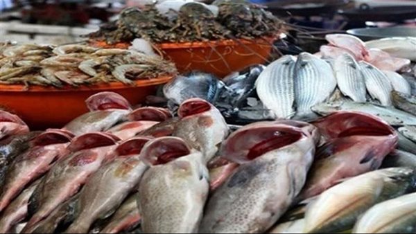 أسعار السمك اليوم الجمعة، انخفاض الكابوريا والبلطي والجمبري والبوري يسجل 100 جنيه