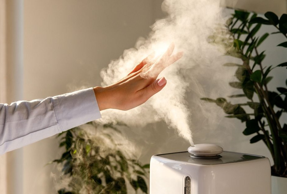 خبير روسي يحذر من مخاطر أجهزة ترطيب الهواء المنزلية