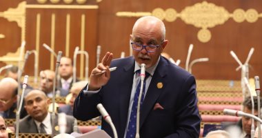 النائب حازم الجندي: اتصال الرئيس السيسي بمحمد بن زايد رسالة تأكيد على وحدة المصير والدم