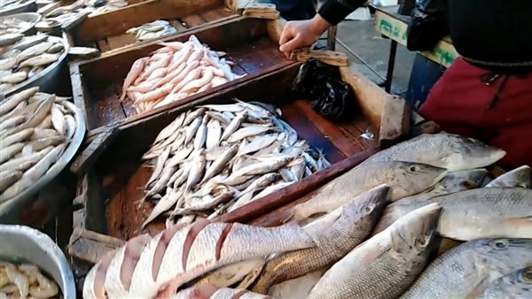 انخفاض البلطي والكابوريا، سعر السمك اليوم الإثنين 4 مايو 2026