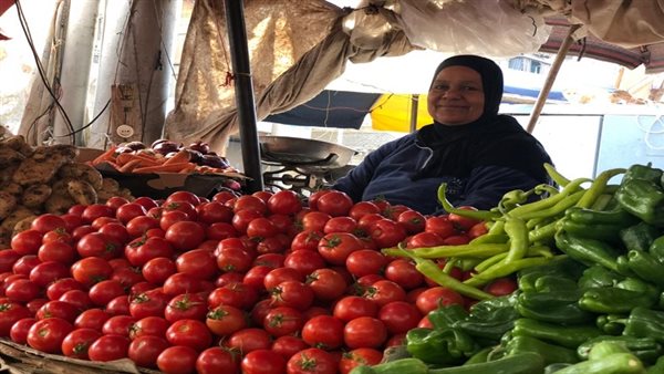 “هترجع بـ15 جنيه”.. نقيب الفلاحين يكشف أسباب ارتفاع أسعار الطماطم