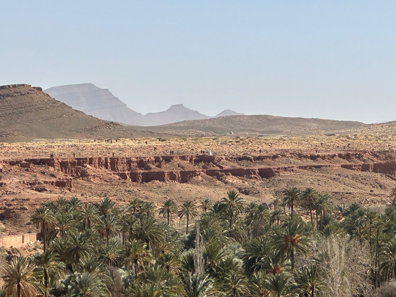 انتشار مكثف لعناصر الجيش الجزائري قرب قصر إيش الحدودي بإقليم فكيك