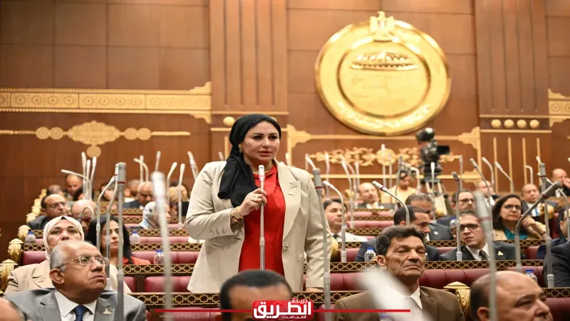 برلمانية: ثورة 30 يونيو فتحت صفحة جديدة في تاريخ الدولة ورسخت مكانة المرأة كشريك أساسي في بناء الجمهورية الجديدة