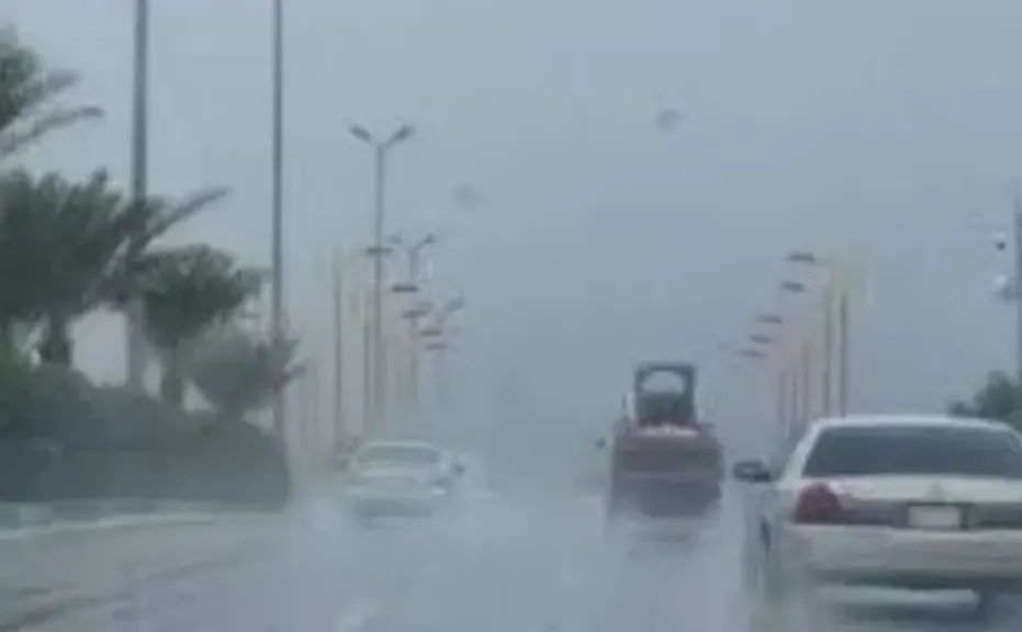 الأرصاد تكشف طقس الأربعاء: برودة ليلية وشبورة وأمطار خفيفة متوقعة بمناطق