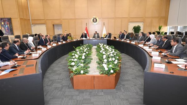 مصر تدرس منح صناعة السيارات حوافز إضافية لتعزيز الطاقة الإنتاجية