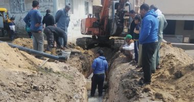 صيانة خطى مياه شرب ورصف طرق وضبط لحوم وأسماك غير صالحة بكفر الشيخ