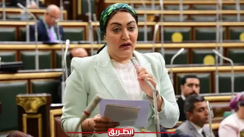 النائبة أسماء سعد الجمال تقدم طلب إحاطة بسبب حوادث كوبري الأخصاص على الطريق الإقليمي
