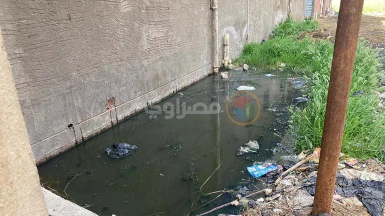مياه الصرف تغرق شوارع دسوق.. ومعاناة مستمرة للأهالي (فيديو وصور)