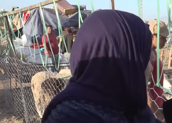 بالفيديو.. سيدة جزائرية تصنع الحدث داخل سوق للمواشي!
