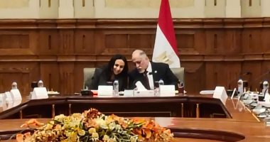 حقوق الإنسان بالشيوخ تستعرض مبادرات دعم الأشقاء العرب بقوافل إنسانية