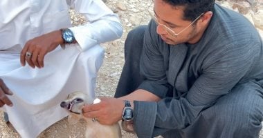 صحراء نقادة بقنا.. مغامرة ومشاهد ساحرة فى الغروب والتزلج على الكثبان الرملية