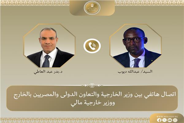 وزير الخارجية يبحث مع نظيره المالي جهود مكافحة الإرهاب في منطقة الساحل