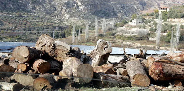 “زراعة عجلون”: ضبط مركبة محملة بحطب حرجي